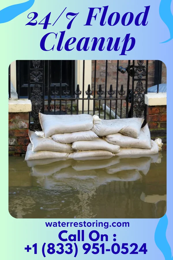 24/7 Flood Cleanup in Willow Hill, IL