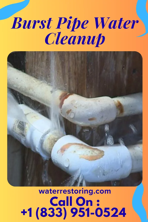 Burst Pipe Water Cleanup in Willow Hill, IL