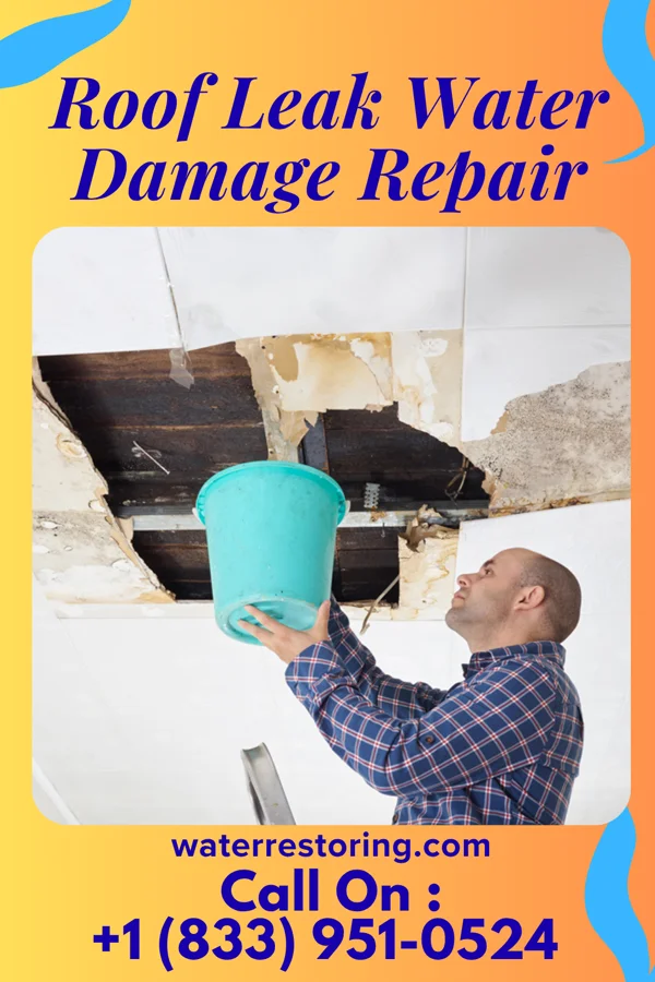 Roof Leak Water Damage Repair in Willow Hill, IL