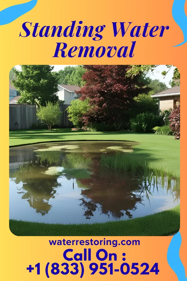 Standing Water Removal in Willow Hill, IL